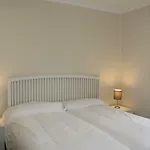 Plaza Constitucion 6 By Salamancavacacional *